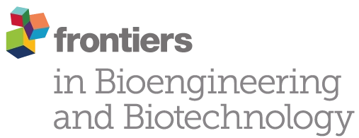 Frontiers-in-bioengineering-vertical-a-color